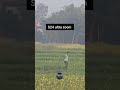 Samsung galaxy s25 ultra 20x zoom test 😱 #S25Ultra#ZoomTest#viralvideo #shorts#s24ultra #zooming