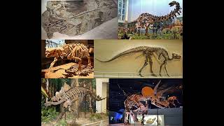 Dinosaur - Wikipedia Spoken Articles