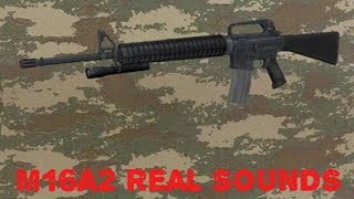 L4D2 M16 Real sound effects mod by decapitator