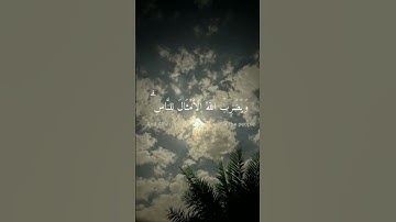 'نور على نور' القارئ شريف مصطفى سورة النور