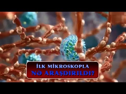 Video: Biologiyada istifadə olunan müxtəlif mikroskop növləri hansılardır?