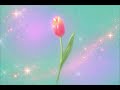 🪷✨Daily Gratittude | Ethereal Frequency Mix 🧘🎶