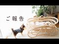 【ご報告】