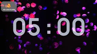 5 Minute Classroom Timer with Music | Underwater Jellyfish Calm — NO LOUD ALARM