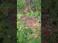 Не каркай #анекдоты #мемы #приколы