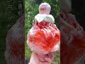 茂木のowl(アウル)は一年中可愛いもなか付きかき氷が食べられる #長崎 #長崎グルメ #茂木