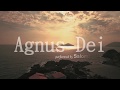 Agnus Dei - performend by Salomão Isaac