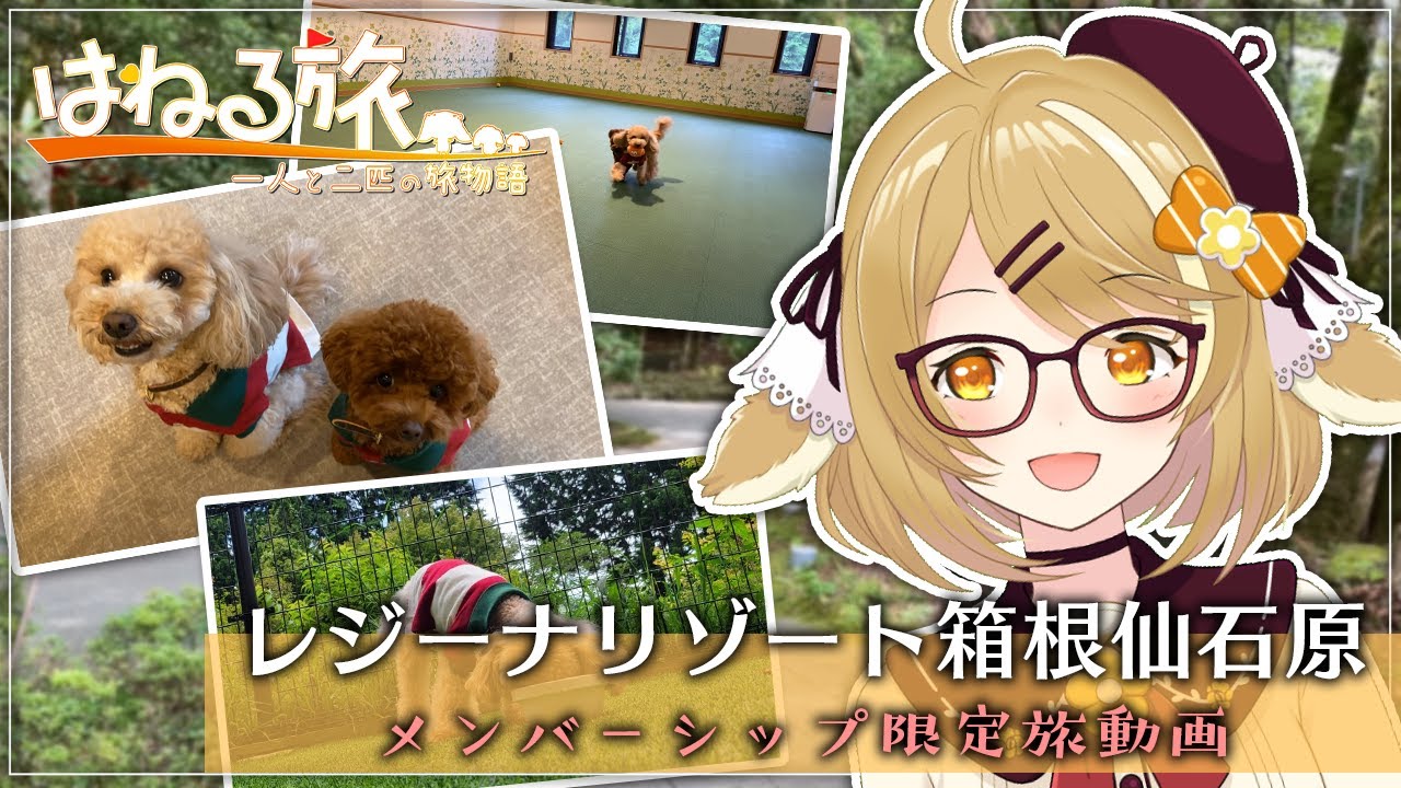 【#はねる旅】箱根の高級旅館「レジーナリゾート箱根仙石原」に犬たちと泊まってみた【因幡はねる / あにまーれ】