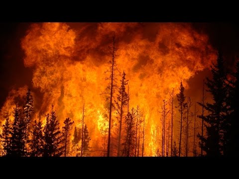 25 Most Destructive Wildfires Ever Recorded In History