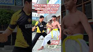 PENGETESAN BATA MERAH SIMULUASI UJIAN PERNAFASAN PERUT SABUK KUNING KATEDA #kateda #martialarts