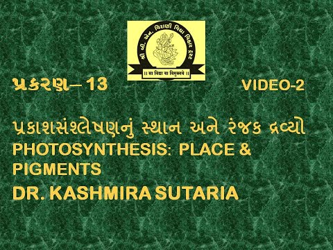 પ્રકાશસંશ્લેષણનું સ્થાન અને રંજકદ્રવ્ય|PHOTOSYNTHESIS PLACE AND PIGMENTS|CLASS-11|CHAPTER-13|VIDEO-2