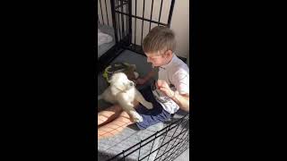 Voor De Eerste Keer Spelen Met Cesar Hij Gaat Al Zitten Voor Een Snoepje