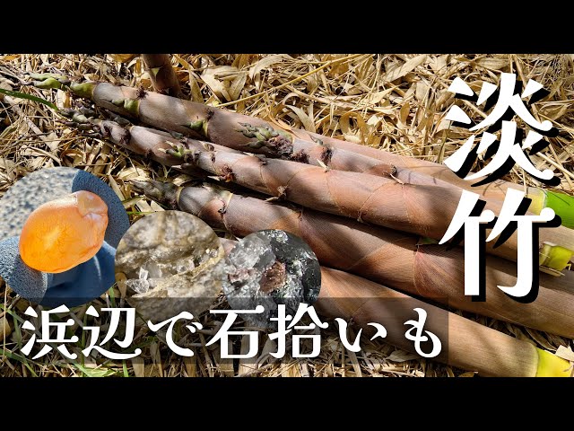 天然竹製 手作り一点物！ 手づくりする竹のかごと器 | 株式会社誠文堂