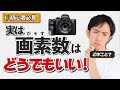 【初心者】デジカメとスマホカメラの画質の違い!①【画素数】