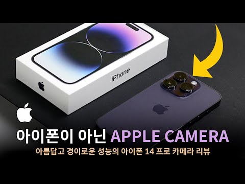 미쳤습니다 진심 경이로운 카메라 성능 I 아이폰14 Pro 카메라 리뷰 