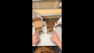 Spotting Fake G24 Wilcox Mounts
