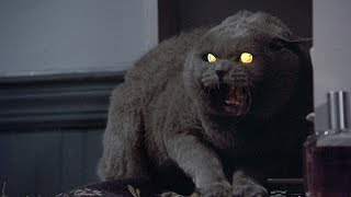 Pet Sematary Remake Starts Filming