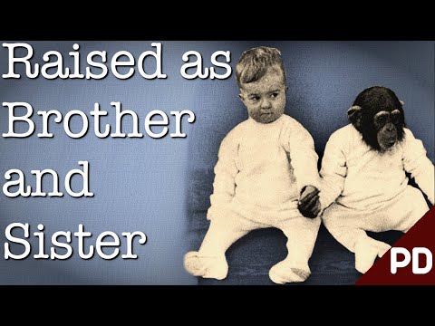 The Dark side of Science: The Horror of the Ape and The Child Experiment 1932 (Kort dokumentär)