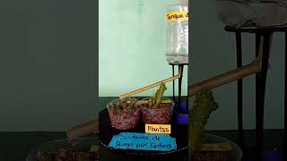 Maqueta De Sistema De Riego Por Goteo