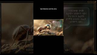 The Wisdom of Solomon and the Warning of the Ant