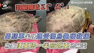 【男騎車半路遇受傷烏龜暖救援 烏龜便車搭一半險跳車他嚇歪】｜TikTok / dearjj830