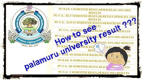 How to check palamuru university result???