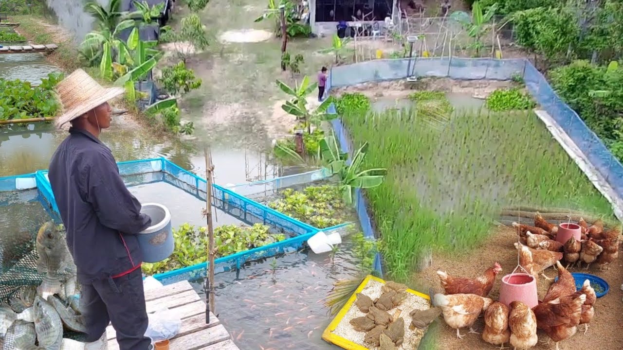 เก็นเงินซื้อที่มาทำเกษตร 1ไร่3งานเริ่มต้นจากคนไม่มีที่ทำกิน!!