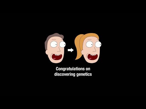[adult swim] - Summer and Jerry Genetics Bump