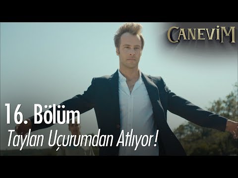 Taylan, Ceylan için ölümü göze alıyor - Canevim 16. Bölüm