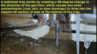 What is a Gas Sediment Trap? (And Why You Need One)