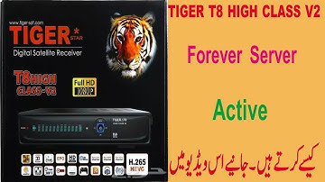 How To Activate Tiger T8 V2 Forever Server