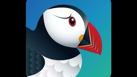Puffin browser Pro free download......
