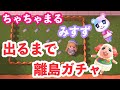 【あつ森】人任せ離島住民ガチャ【∞連】