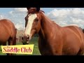 The Saddle Club Movie - Adventures at Pine Hollow | HD Full Movie