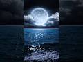 Nature After Sun Goes Down Nature Moon Shorts Viral Trending Shortvideo Youtubeshorts Video 