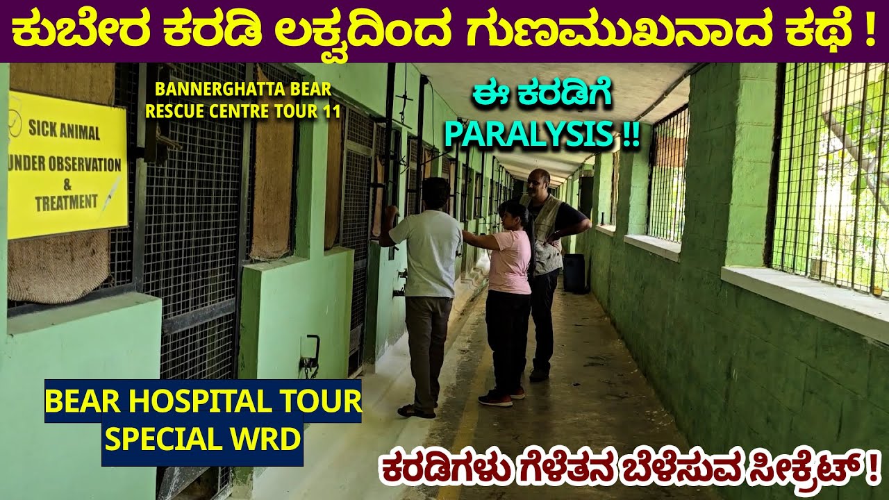 ಕುಬೇರ ಕರಡಿಗೆ ಲಕ್ವ! Bear Friendship Secret-Digital Maadhyama-Bannerghatta-WildLife SOS Bear Centre-62