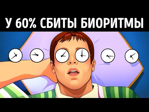 Кто вы — жаворонок или сова? Шокирующие секреты раскрыты!