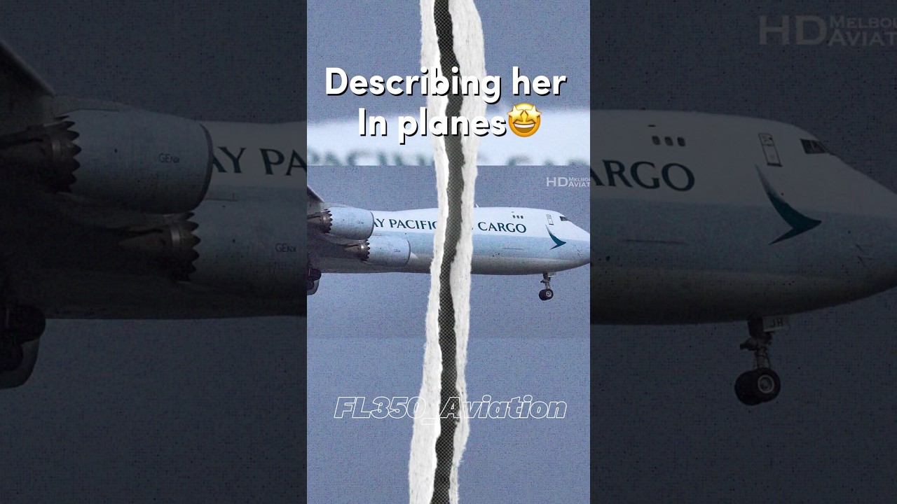 Describing her in planes😈 #shorts #viral #fyp #aviation #avgeek