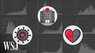How to Make Sense of Coronavirus Data | WSJ