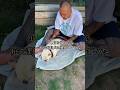 愛犬が野良犬に襲われて妊娠しました ペット いぬ 泣ける 感動 犬 フレンチブルドッグ フレブル 怒り 愛犬が野良犬に襲われて妊娠しました ペット いぬ 泣ける 感動 犬 フレンチブルドッグ フレブル 怒り