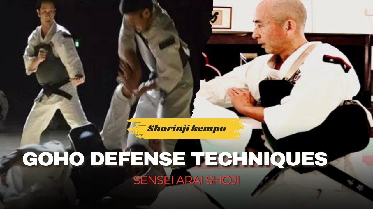 master class. goho defense techniques shorinji kempo martial arts