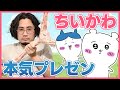 「ちいかわ」を愛する男が「ちいかわ」のすべてを語ります