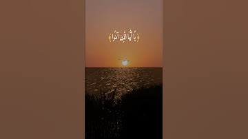إن الله وملائكته يصلون على النبي #قرآن #تلاوات #quran #فارس_عباد