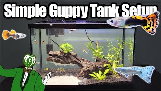 Simple 5 Gallon Guppy Tank Setup