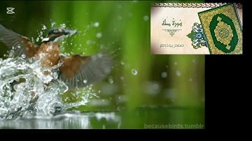 سورة طه كاملة بصوت الشيخ صلاح بو خاطر
