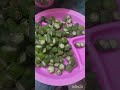 Nabi Ki Pyari Hadees Mubarak 🕋💚🌙🧕🤲#viral#food#howtomakebhindiqeema#youtubeshortvideo