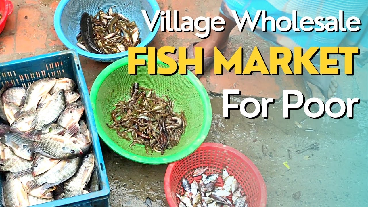 Village Wholesale Fish Market For Poor।। সর্বচ্ছ কম পরিমান মাছ এই