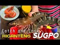 Catch and cook giant tiger prawn shrimp  sugpo yummy 46