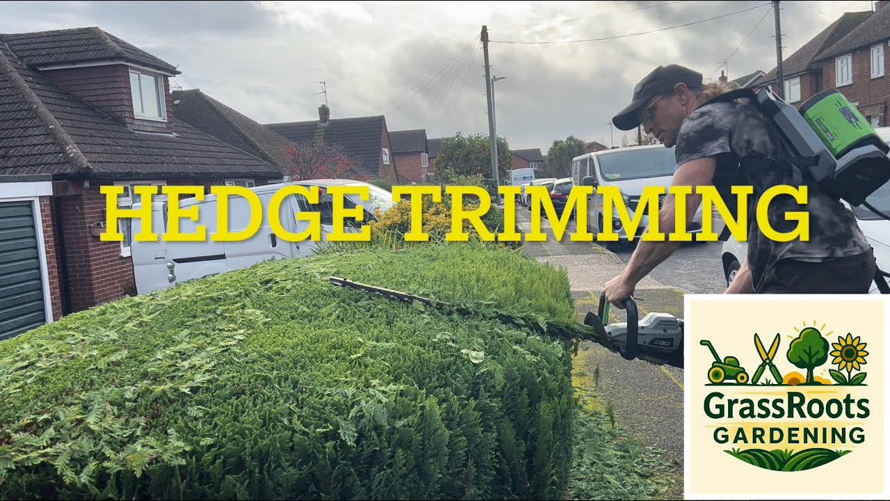 Satisfying Hedge Trimming.