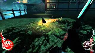 Famous That's no ordinary rabbit! (Shadow Warrior 2013) Wealth